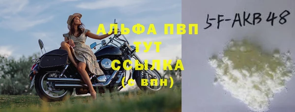 дживик Вязьма