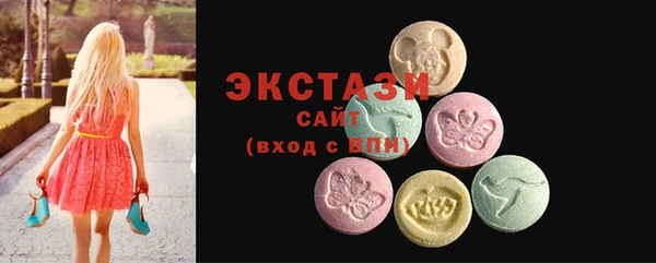 дживик Вязьма