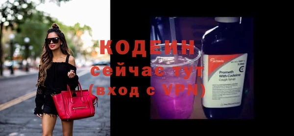 дживик Вязьма
