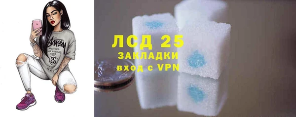 дживик Вязьма