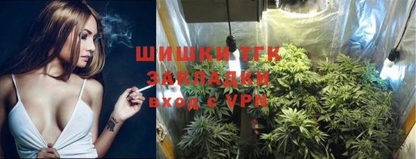 дживик Вязьма